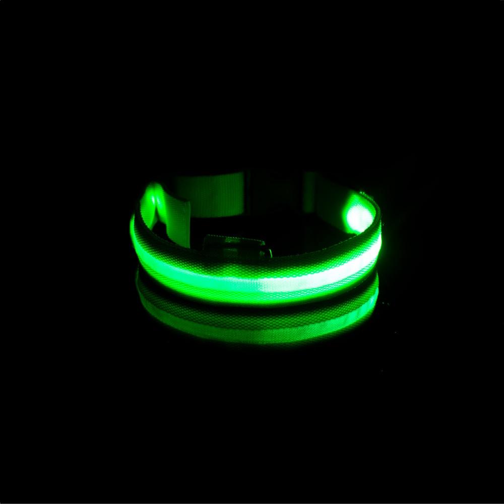 LedCollar™ - Collier à LED rechargeable pour chien - Fou de chien