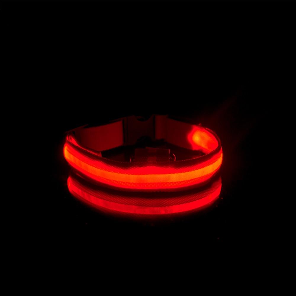 LedCollar™ - Collier à LED rechargeable pour chien - Fou de chien