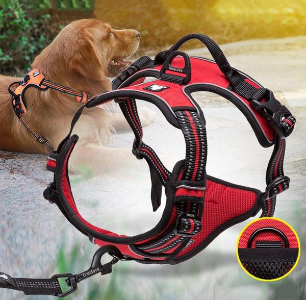 SafetyHarness™- Harnais pour animal de compagnie - Fou de chien