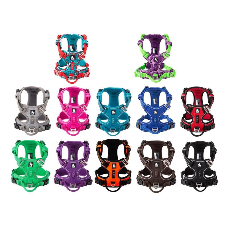 SafetyHarness™- Harnais pour animal de compagnie - Fou de chien